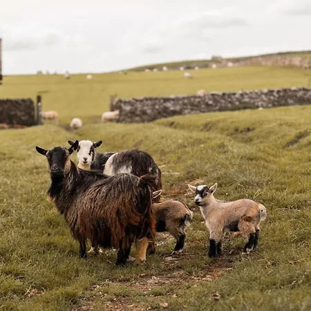 The Old Dairy Barn - Stunning Rural Retreat Kirkby Stephen
