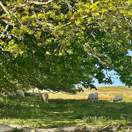 The Old Dairy Barn - Stunning Rural Retreat Сasa de vacaciones